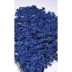 STAR FLOWERS Blue 12-